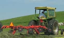 Making Hay in the Sun Shine