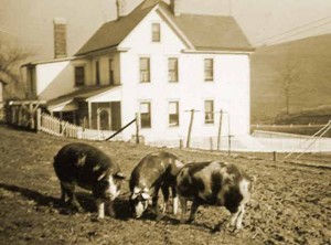 Vintage Farm House